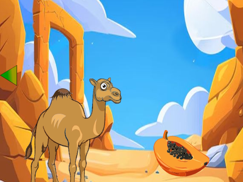 Jogo Camelo procurando por seu jovem online