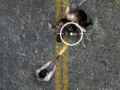 Jogo Undead Highway online