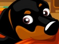 Jogo Meu doce cachorro  online