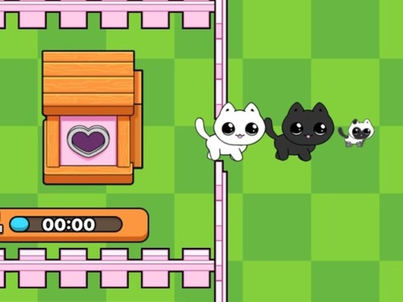 Jogo Meus gatinhos. Catworld online