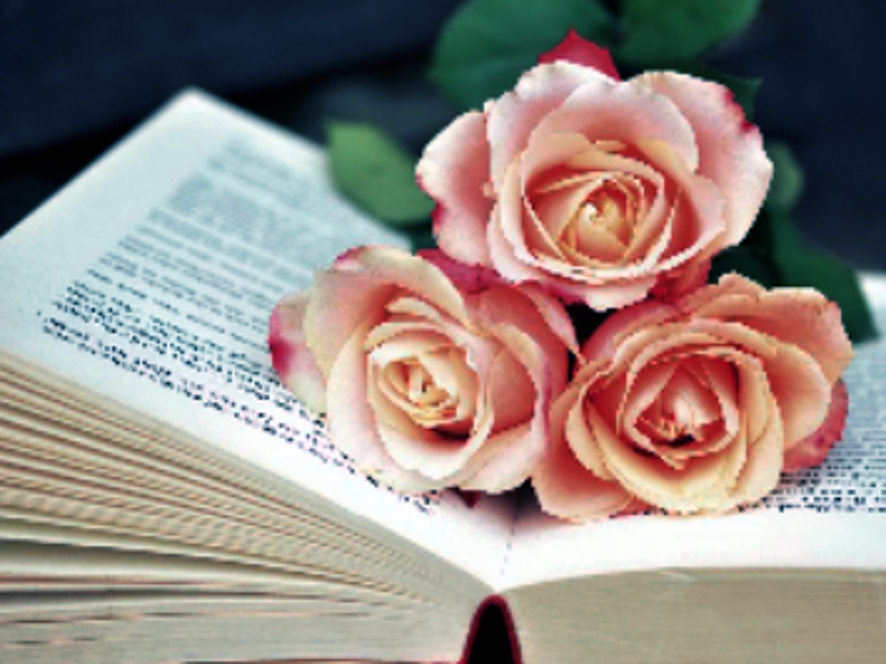 Jogo Livro de Blooms Jigsaw online